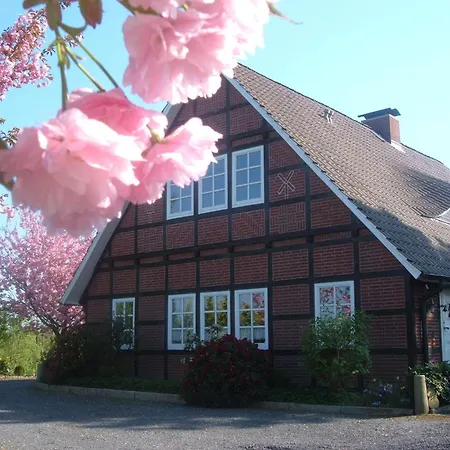 2 Einzelzimmer Appartement Jork Altes Land Bei Hh