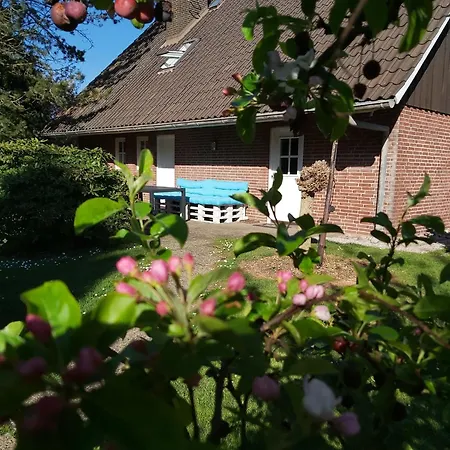 Apartamento 2 Einzelzimmer Appartement Jork Altes Land Bei Hh *