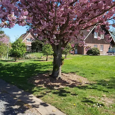 2 Einzelzimmer Appartement Jork Altes Land Bei Hh Apartamento Jork